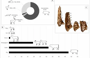Wyjątkowy wczesnośredniowieczny kompleks osadniczy na pograniczu państwa Piastów