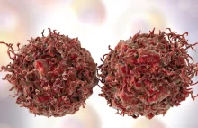 Przełom w leczeniu raka? COVID powodował kurczenie się guzów nowotworowych