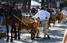 Zakopane ma problem z Arabami? Oto co zostawiają po sobie w hotelach