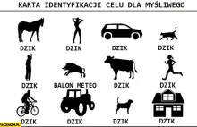 [VIDEO] Friendly fire (dzik na strzelnicy)