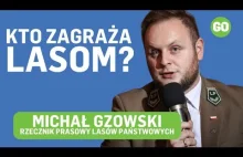 Michał Gzowski, rzecznik Lasów Państwowych: Cała prawda o wycinaniu drzew