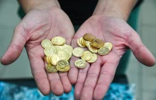 70 złotych monet odkryto w lesie koło Szczecina. "Dalej dochodzimy do siebie"