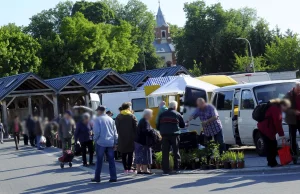 Krajowe ziemniaki? "Nie, to nie polskie. Ale krajowe, bo są z jakiegoś kraju"