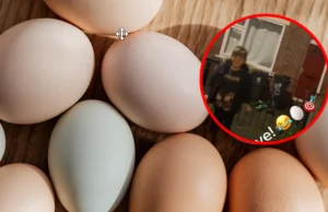 Wielka Brytania: Sześciolatek rzuca jajkami w domy. Ojciec nagrywa tiktoki.