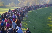 Kaleta: Rząd Donalda Tuska nie zamierza blokować Paktu Migracyjnego