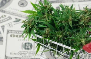 Sprzedaż marihuany w Arizonie przekroczyła miliard dolarów w 2023 roku