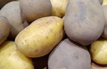 Ewolucja nazw ziemniaków w językach Europy