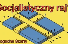 Szwecja - socjalistyczny raj? | Pogodne Szorty