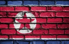 Co zyskuje Korea Północna na barterze z Rosją? Pociski za żywność i nie tylko