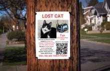 Odnalazł się kot Tux, którego porzucił kierowca Lyfta w Teksasie