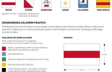 Czy góry są dla każdego? Mroczna strona Gór Stołowych - Podróże