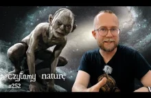 AI prognozuje pogodę - Galaktyka za szybka - Efekt Golluma