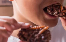 "Zielony Onet" twierdzi że Polacy kochają jeść suszone owady