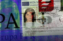 PiS rozbroił system ochrony państwa. Nowe ustalenia o Poland Business Harbour