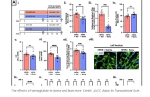 Ozempic - coraz bardzie popularny lek na odchdznie jest niebezpieczny.