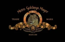 Uwaga, lew na planie! - realizacja słynnego intro studia MGM #film #kino