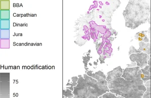 Rysie w europejskim krajobrazie