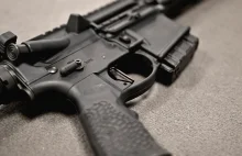 Szwedzki rząd od 1 sierpnia rozpocznie konfiskatę AR 15 wszystkim myśliwym.