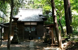 Podróż do Japonii, o której nikt nie wie. Leśne bóstwa sprzed tysięcy lat.