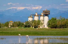 Jedno z najlepszych miejsc do obserwacji ptaków w Europie