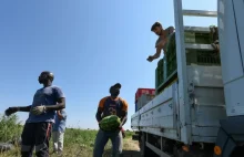 Migranci zrozpaczeni warunkami we Włoszech. "To piekło na ziemi"