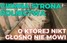 Ciemna strona rolnictwa o której nikt głośno nie mówi