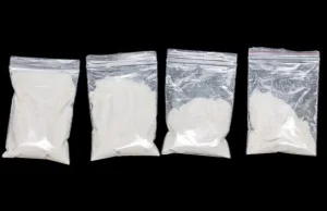 Bruksela: w gabinecie minister edukacji znaleziono 50 torebek z kokainą