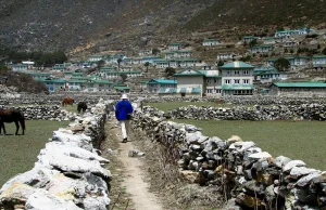 Skalp Yeti w klasztorze Khumjung, Nepal