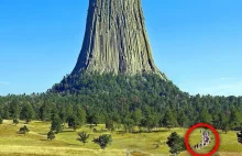 Oto Największe drzewo na świecie, które szokuje wszystkich