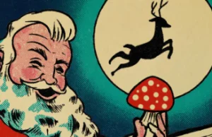 Muchomor czerwony i jego powiązania z Świętem Mikołajem