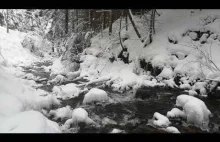 Snowy Brook Nature Sound - Relaxing and Soothing Flow Water