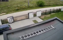 W Żołędowie amstaff wybiegł z posesji i rzucił się na dziecko, zagryzł psa