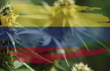 Cannabis Poland S.A. będzie importować marihuanę z Kolumbii