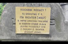Cmentarz Żydowski w Niepołomicach ( part 2 ) . Jewish Cemetery in Niepołomice Po
