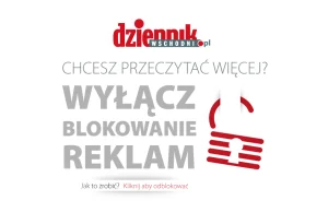 Jest coraz więcej Żabek. "I coraz więcej ludzkich tragedii"