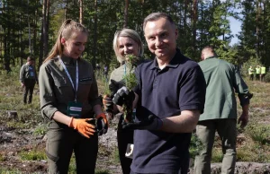 Leśnicy wycięli drzewa, żeby Andrzej Duda mógł je posadzić