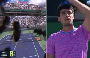 Rój pszczół na korcie w Indian Wells (VIDEO)! Alcaraz zzatakowany!