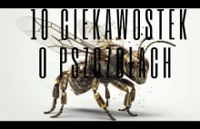 10 ciekawostek o pszczołach - może kogoś zainteresuje