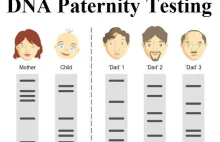 Od kiedy obowiązkowe testy DNA dla ojców w sprawach o ustalenie ojcostwa