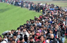 "Europa się faszyzuje z powodu kryzysu migracyjnego" - Lejb Fogelman