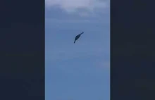 „Niewidzialny” bombowiec latał nad Miami