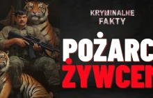 Karmili tygrysy ciałami swoich wrogów: Brutalność synów El Chapo - YouTube