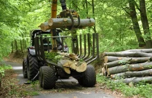 Prokuratura wszczęła śledztwo w sprawie Lasów Państwowych w Toruniu