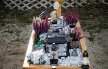 Trzech zatrzymanych to dzieci. Ofiara nie żyje. Linia obrony rozwala