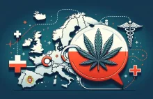 Polska importuje rekordowe ilości medycznej marihuany: 1589 kg z Portugalii…