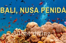 Podwodne Bali i Nusa Penida - silent diving, bez gadania