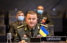 Ekspert: Załużny odpowiada za klęskę kontrofensywy Ukrainy.
