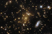 Ekstremalnie masywna gromada galaktyk okiem Hubble'a