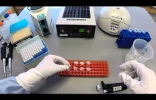 Proces ekstrakcji DNA