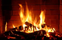 W Niemczech i Finlandii wracają do palenia drewnem. Lobby energetyczne w Polsce?